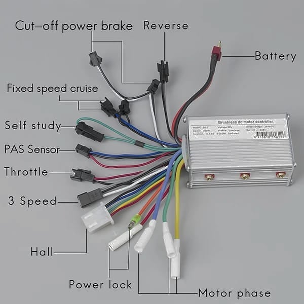 Image 4